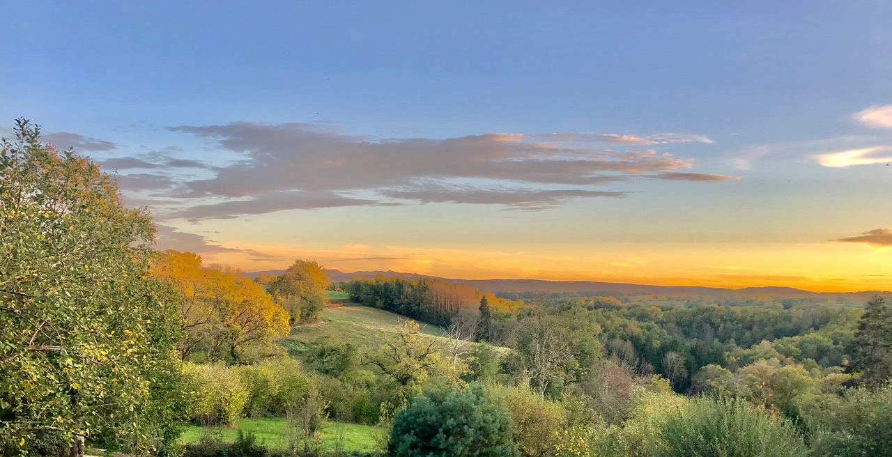 panoramique d'un paysage verdoyant