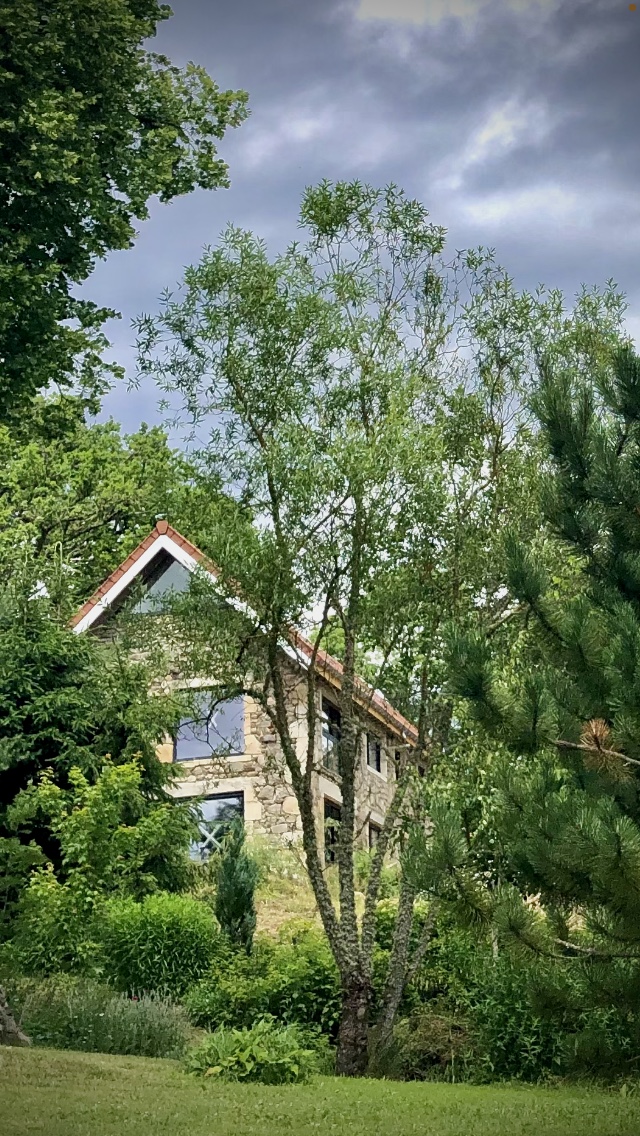 vue extérieur d'une maison dans la forêt