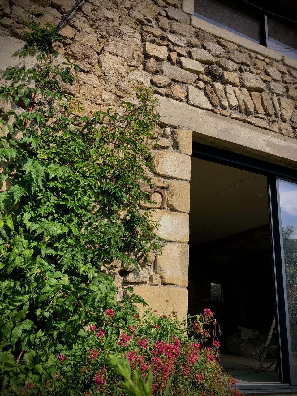 vue rapprochée d'un fenêtre d'une maison dans la forêt